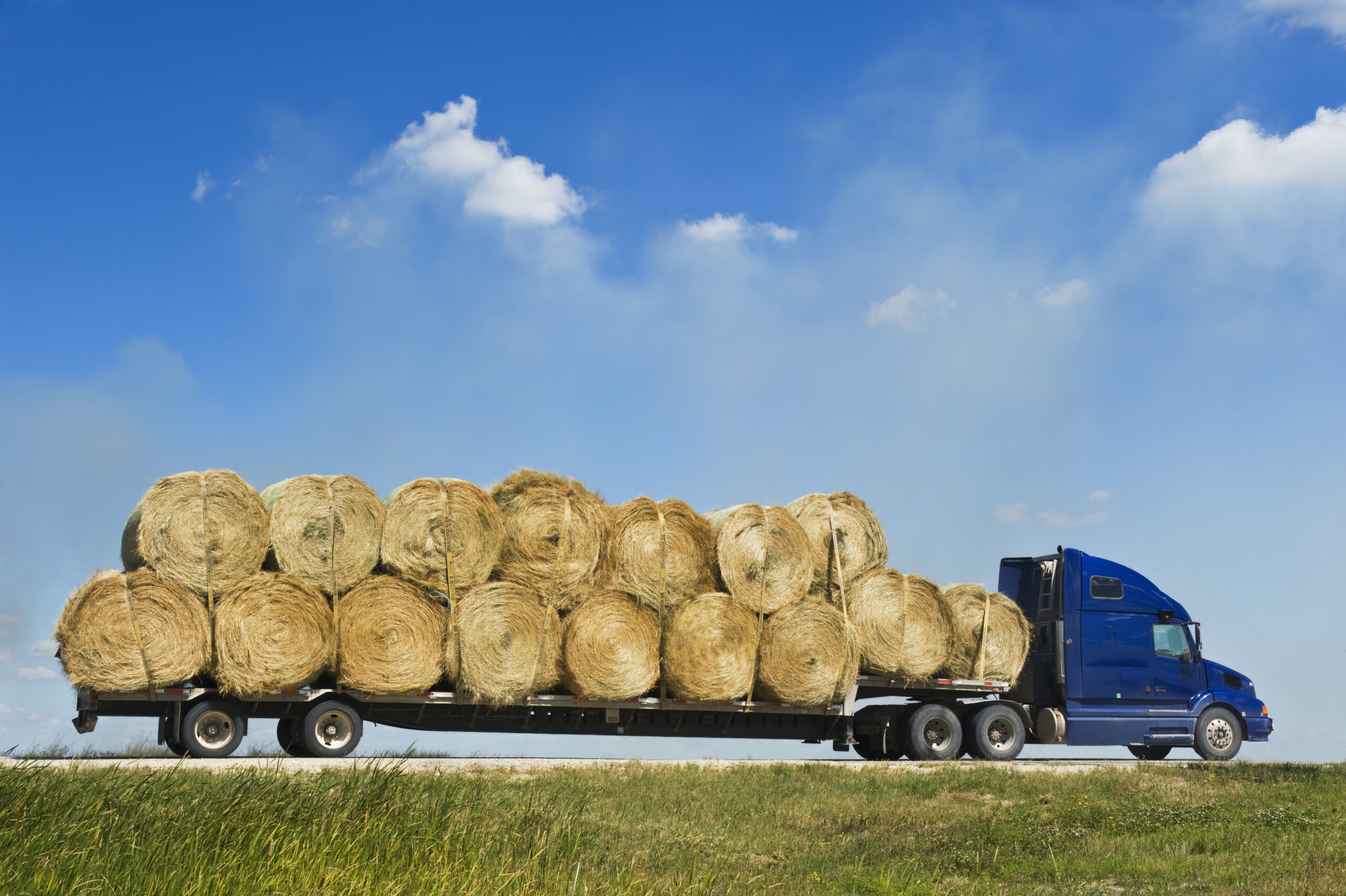 a truck loaded with round hay bales on a country road ,  Manitoba, Canada