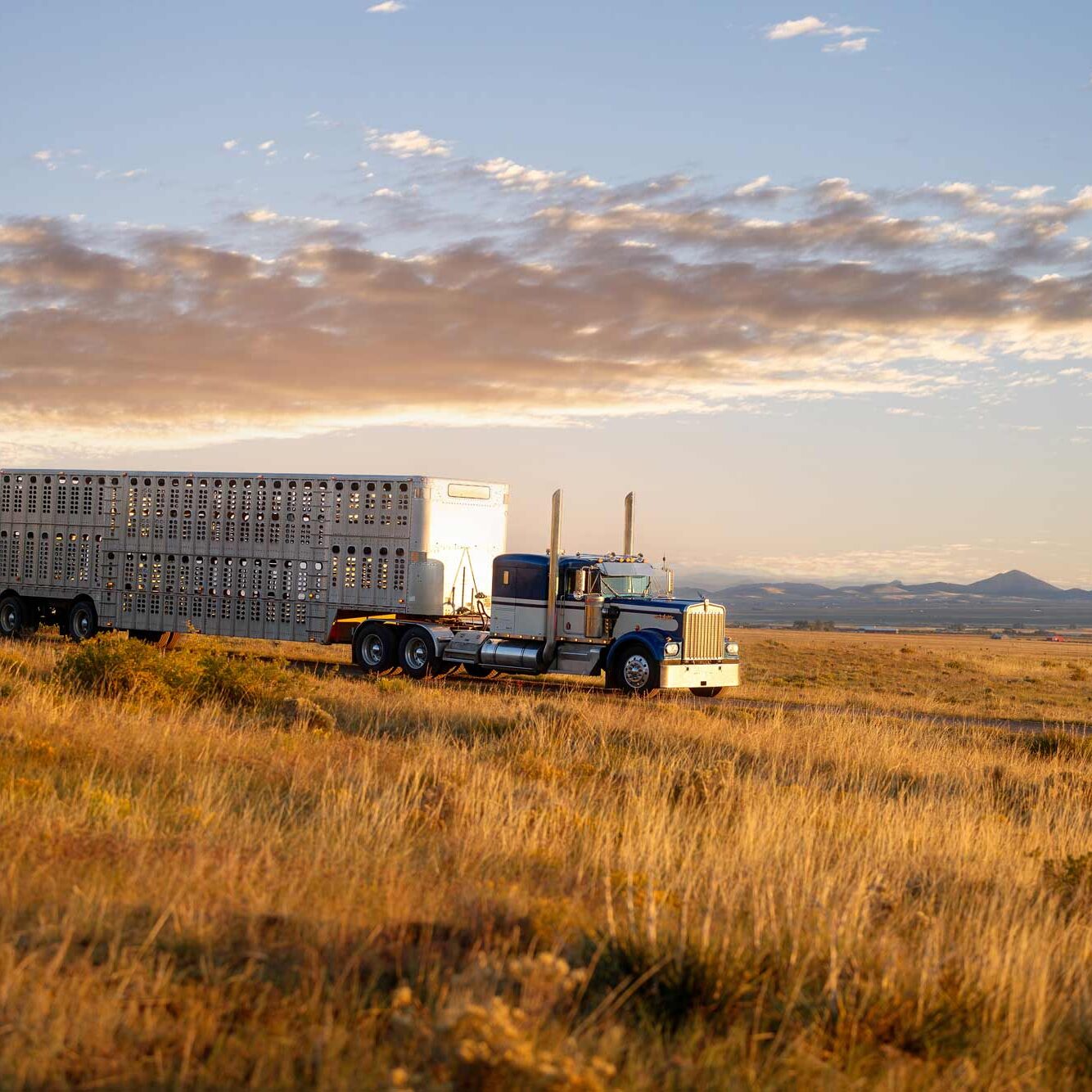 AdobeStock_1305930156-web