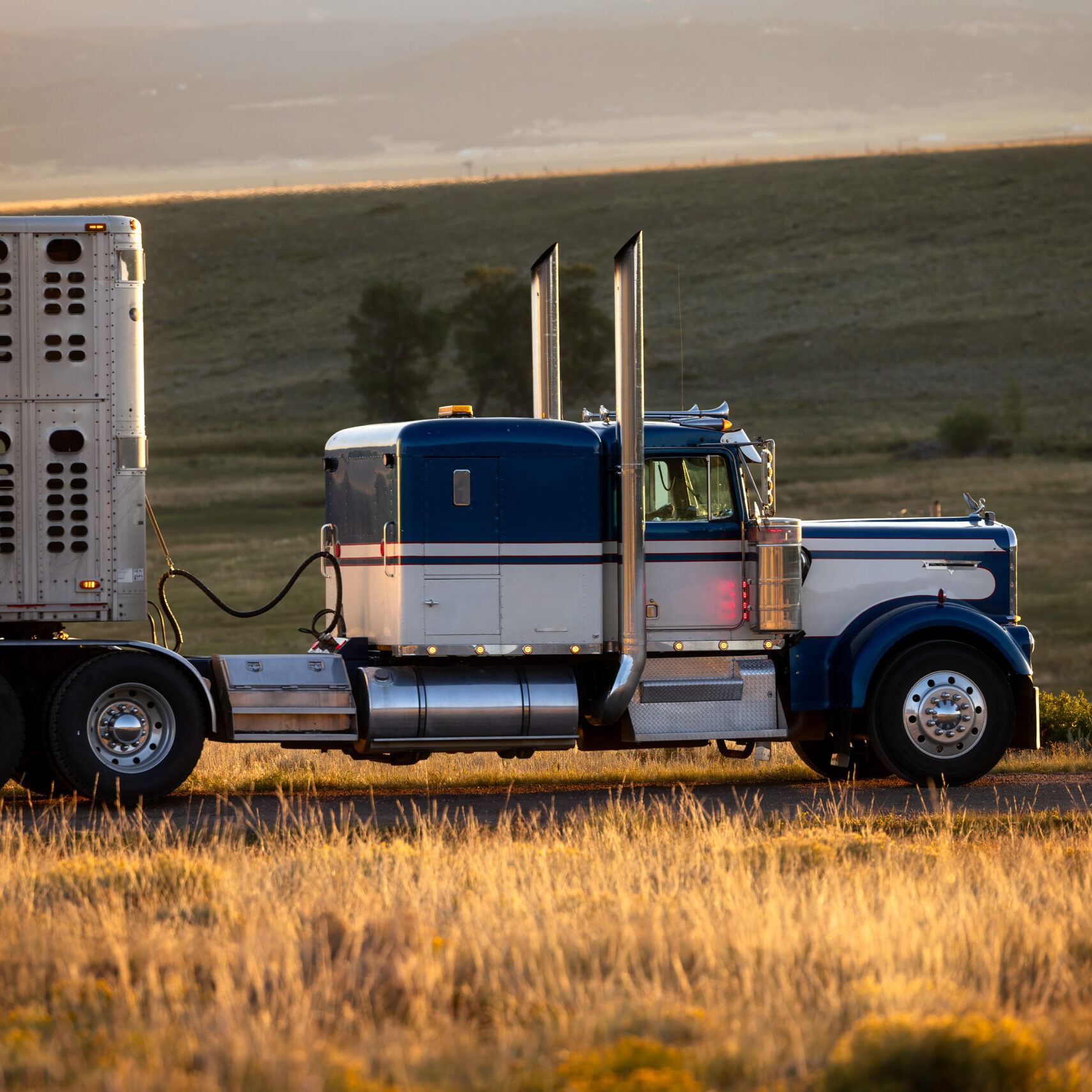 semi-truck eighteen wheeler with stock livestock cattle trailer on dirt road mountain truck rig
