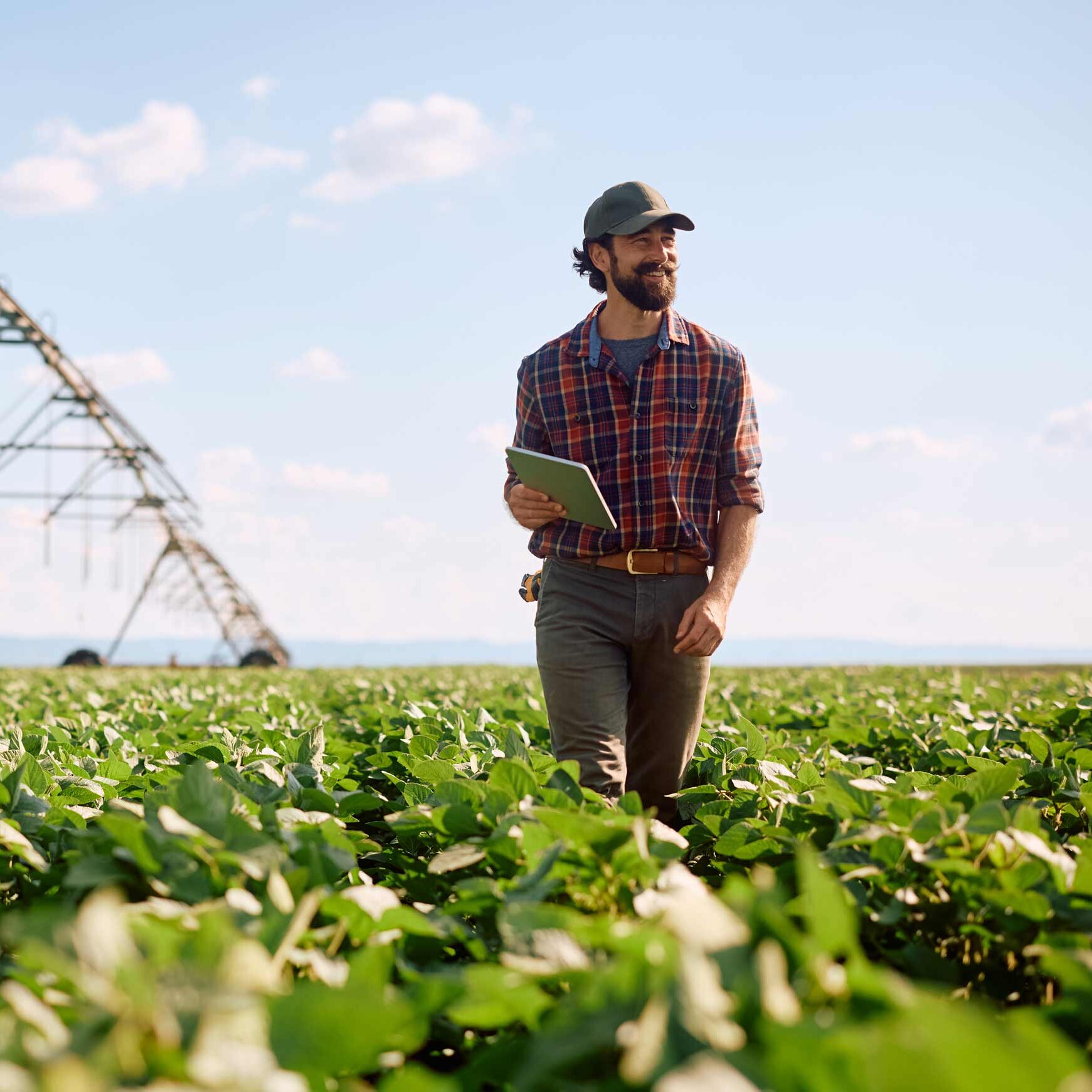 AdobeStock_1650385848-web