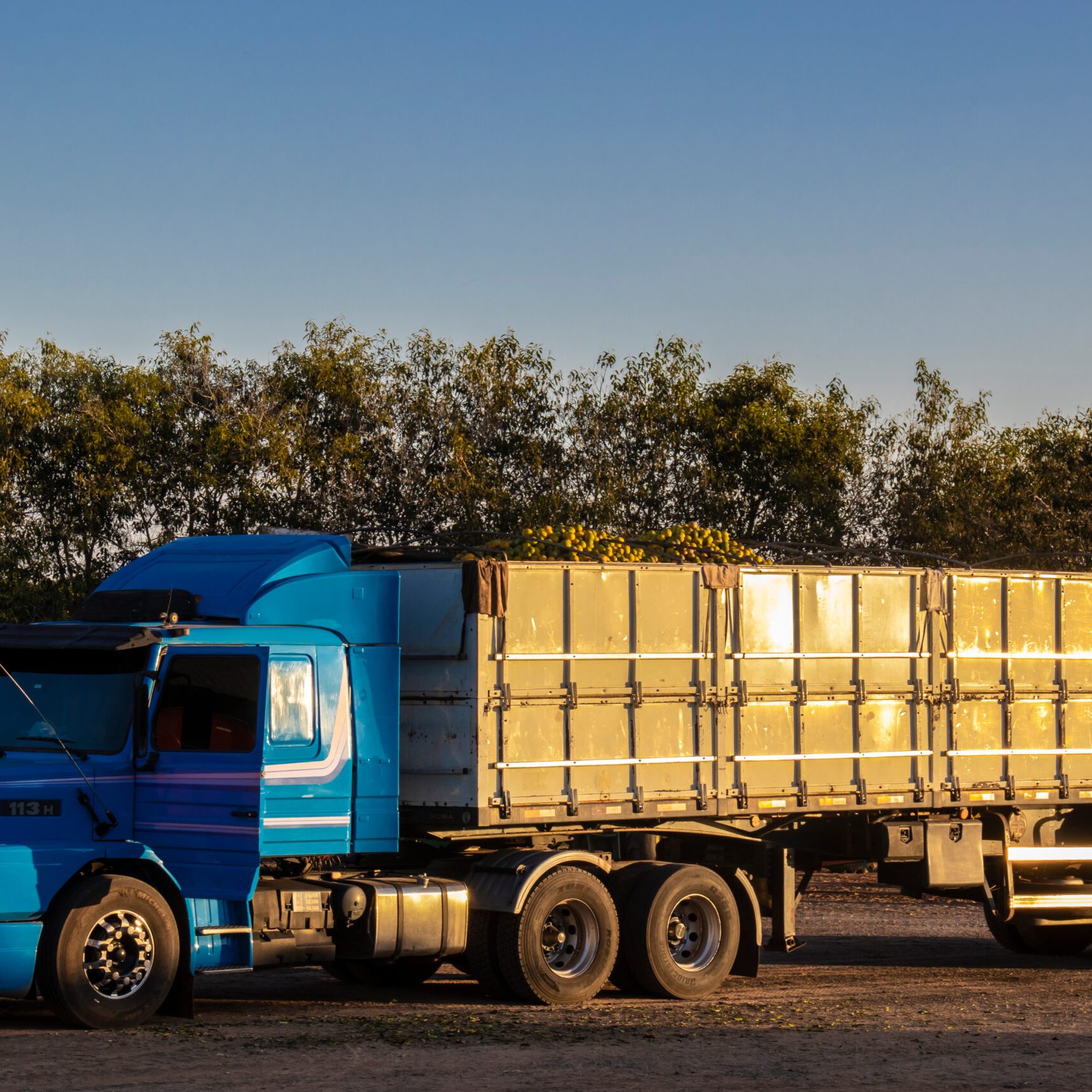 Sao Paulo, Brazil, June 06, 2023. Truck loaded with oranges after being harvested in the field of a farm in the state of Sao Paulo