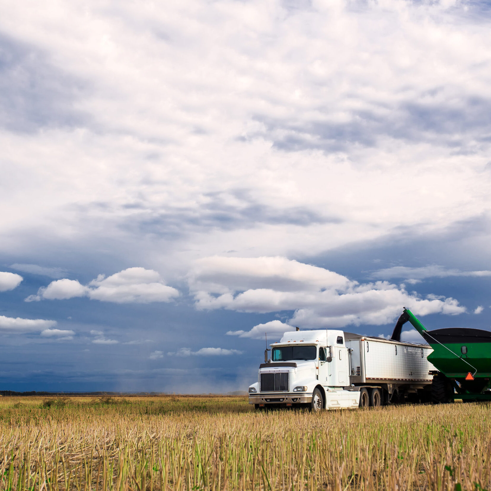 A tractor and grain cart unloading canola seed into a semi truck and trailer in a harvested field under blue cloudy sky in a autumn countryside landscape