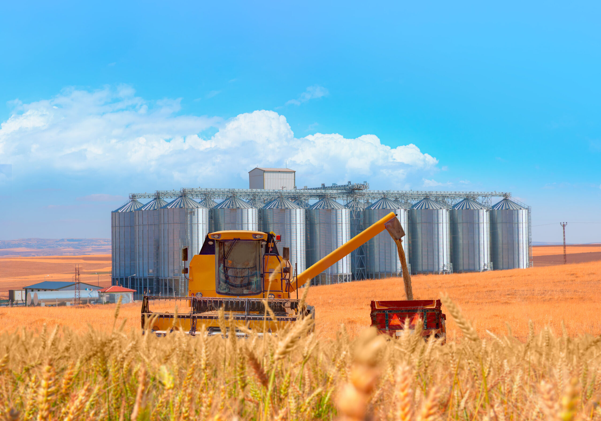 Combine harvester harvesting wheat field - Agricultural Silos for storage and drying of grains, wheat, corn, soy, sunflower