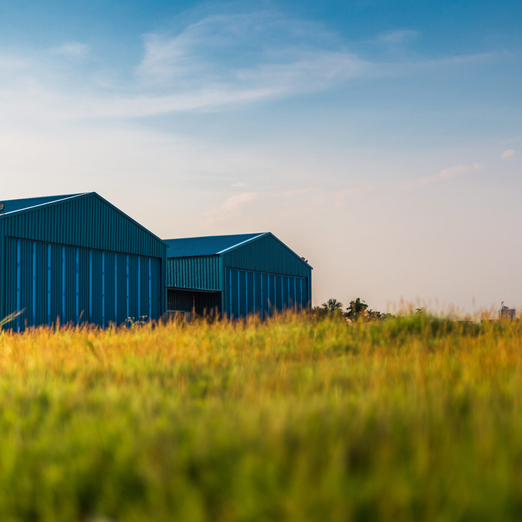 Modern new company warehouse building, farm buildings by the field, outdoors theme concept vintage relaxing.