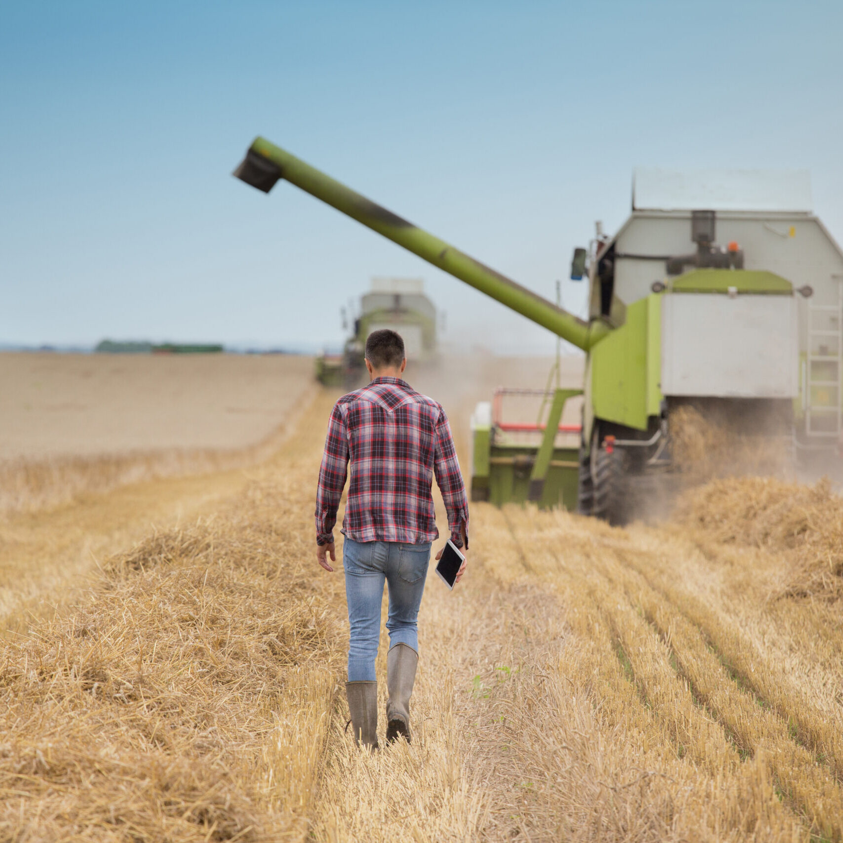 Rear view of handsome farmer with tablet walking in front of combine harvester during harvest in field