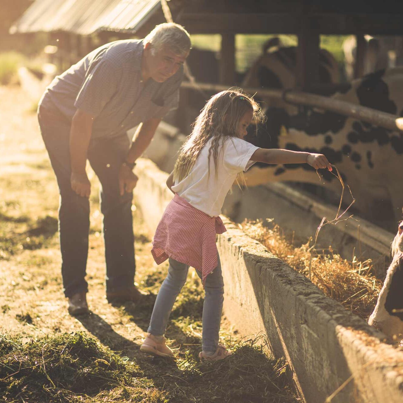 AdobeStock_226455262-web