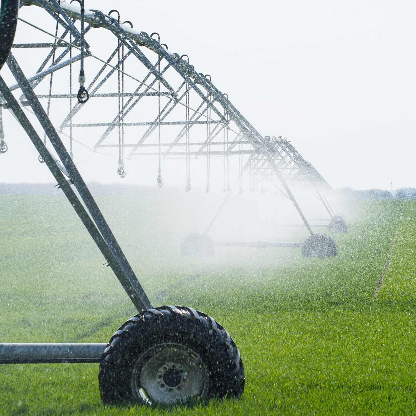 AdobeStock_259616900-web