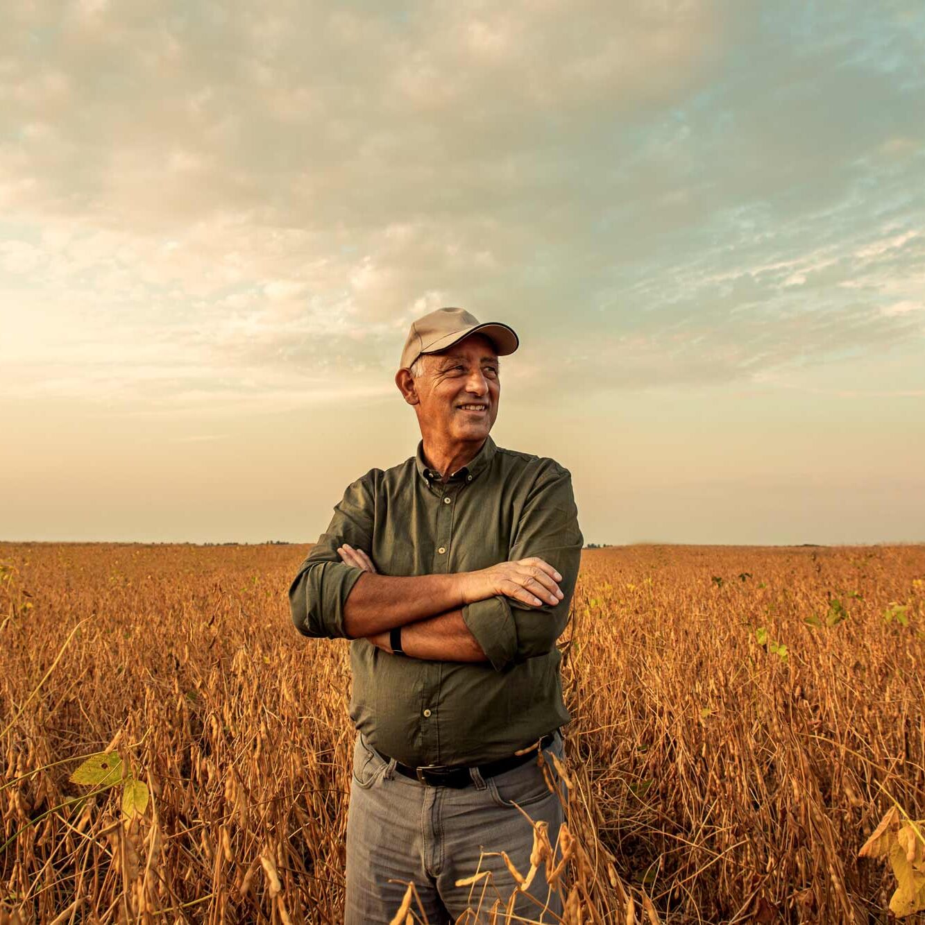 AdobeStock_288629201-web