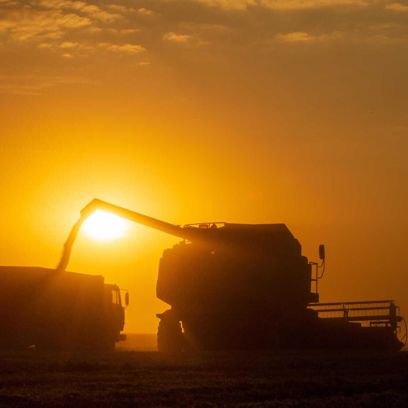 AdobeStock_394410256-(1)-web