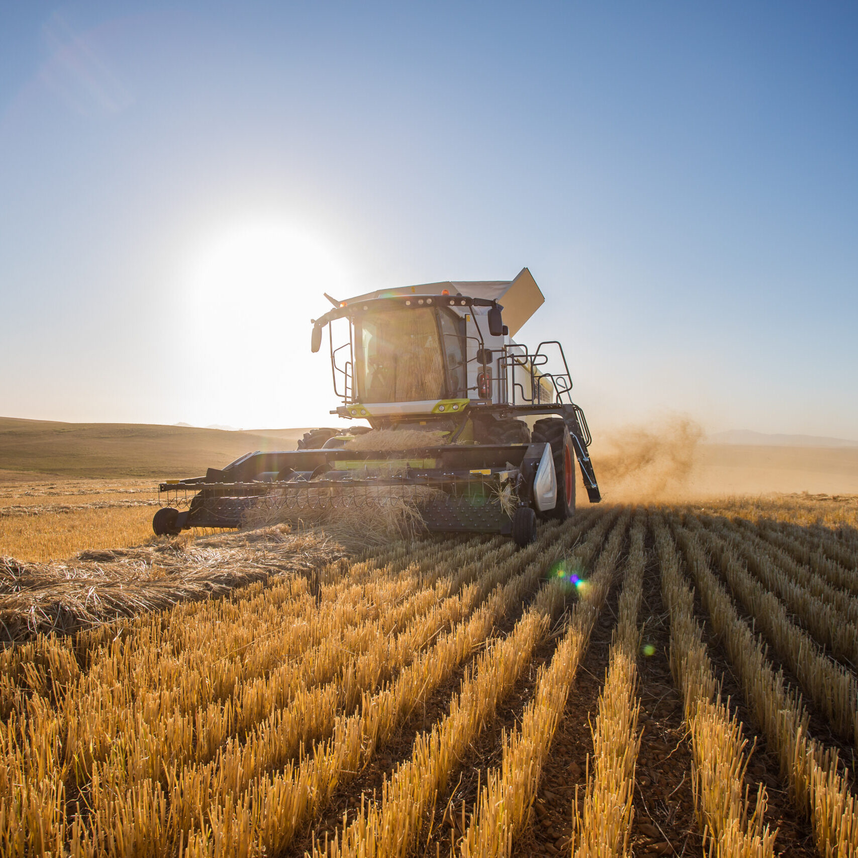 Wide angle view of a combine harvester harvesting wheat on a wheat field on a farm in the Swartland in the Western Cape of South Africa