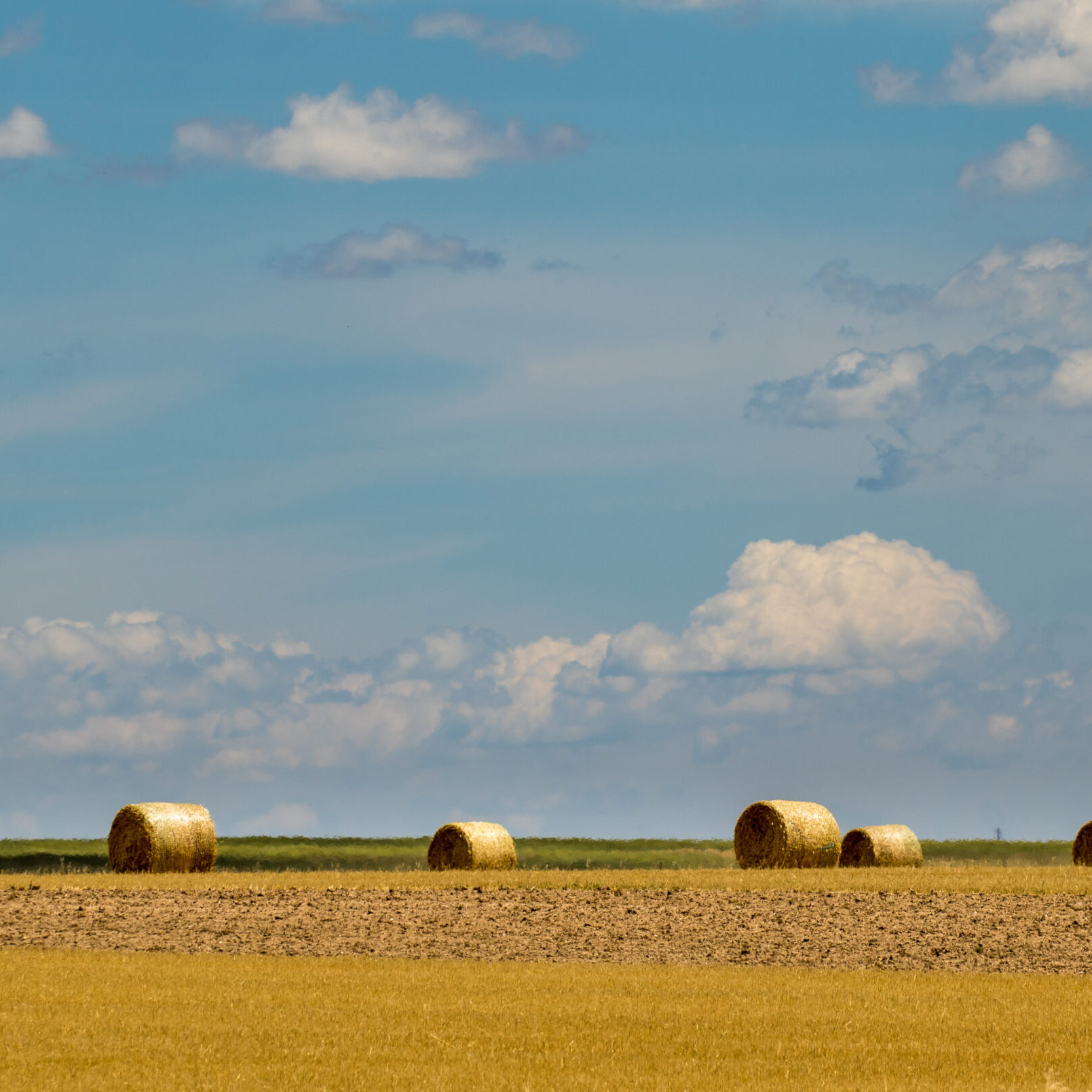 A hay field west of Raymer, CO