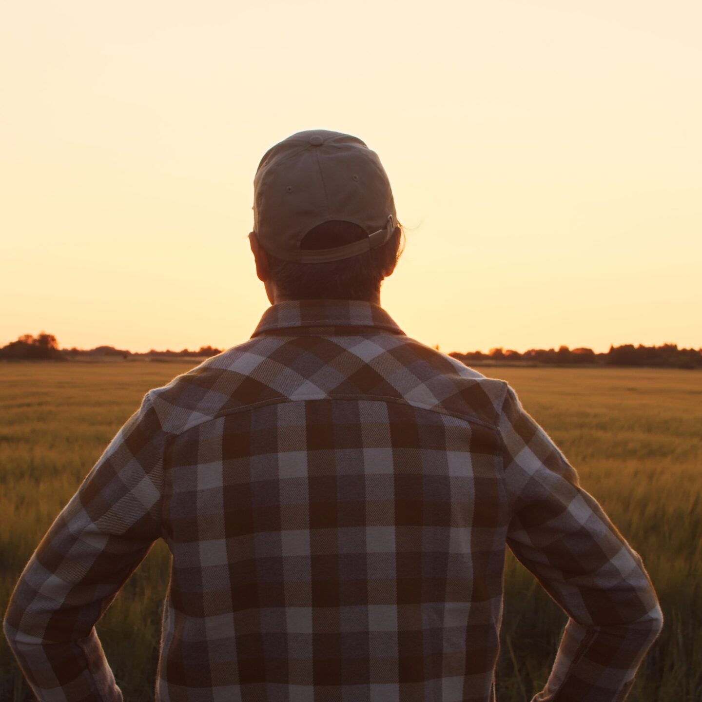 Farmer in front of a sunset agricultural landscape. Man in a countryside field. The concept of country life, food production, farming and country lifestyle.