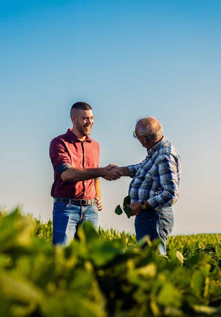 AdobeStock_628019030-web