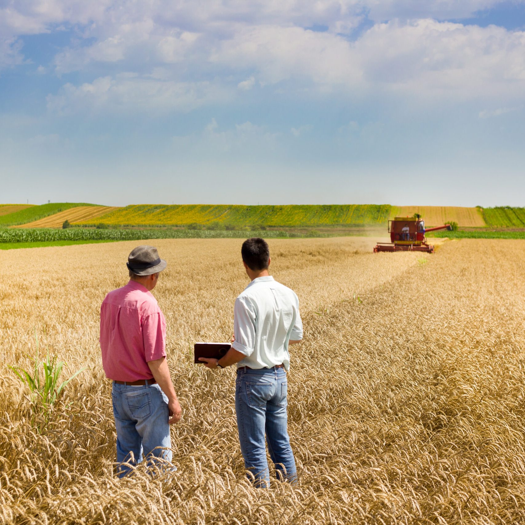 Peasant and business man talking on wheat field during harvesting