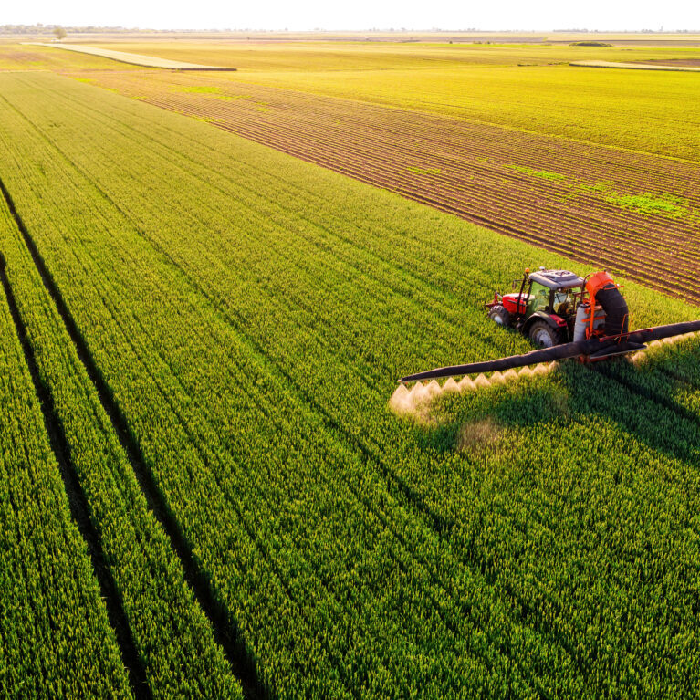 Drone shot of a tractor spraying in lush green wheat fields under the bright sun, showcasing modern agriculture