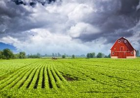 farm insurance coverage options